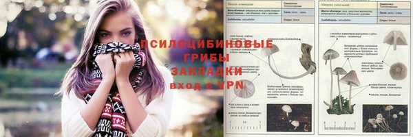 ГАЛЛЮЦИНОГЕННЫЕ ГРИБЫ Балабаново