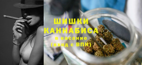 ГАЛЛЮЦИНОГЕННЫЕ ГРИБЫ Балабаново