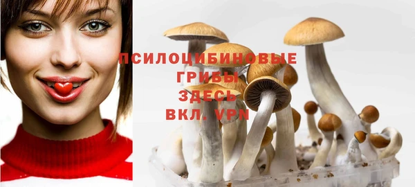 apvp Балахна