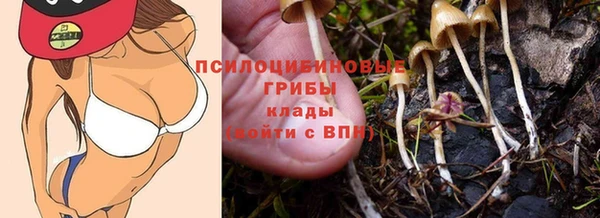 apvp Балахна