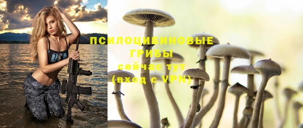 амф Нефтекумск