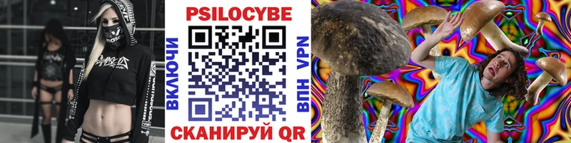 Псилоцибиновые грибы Psilocybine cubensis  Шагонар 